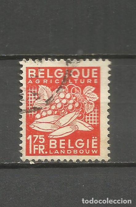 Sellos: BELGICA YVERT NUM. 764 USADO - Foto 1