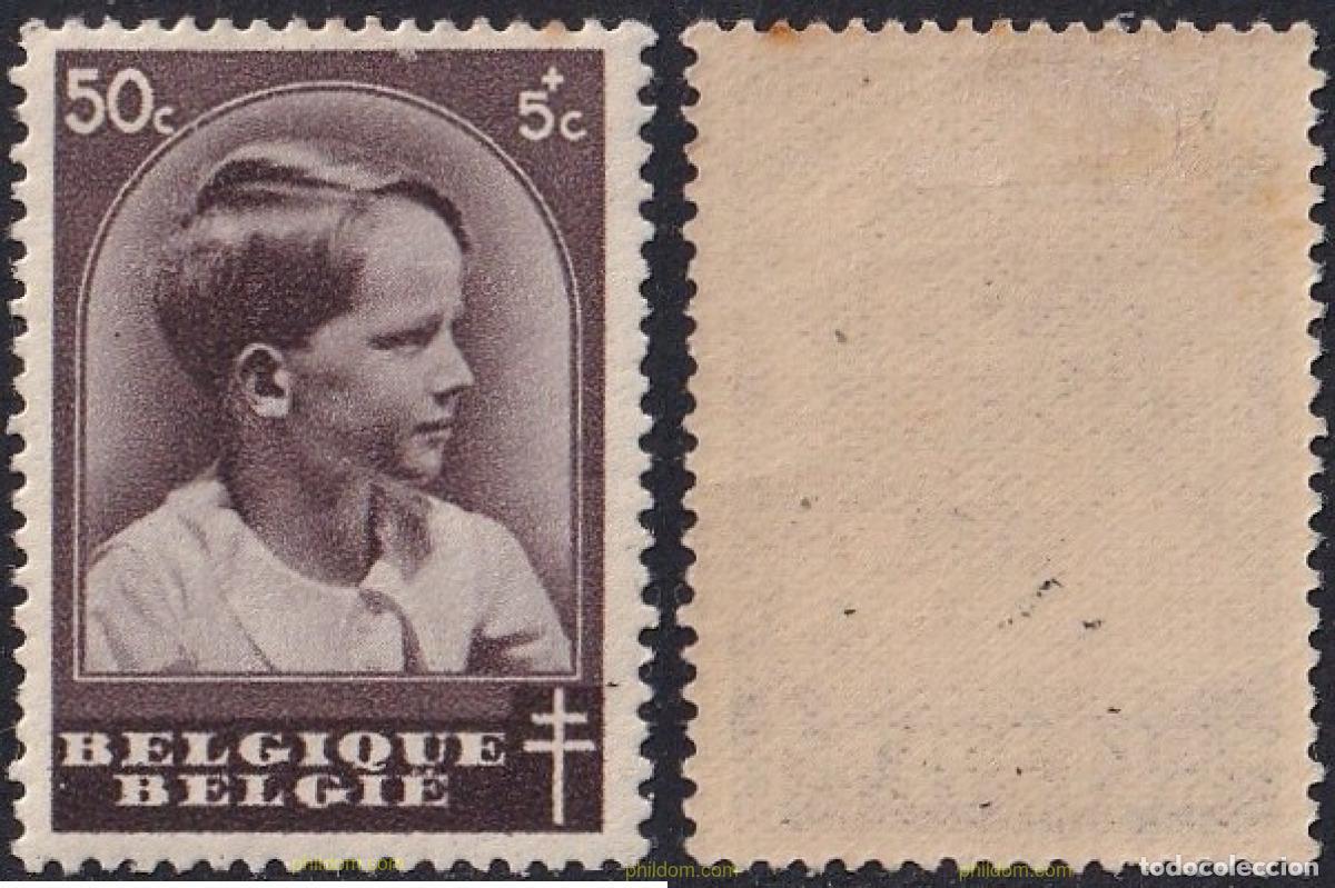 Sellos: 766285 HINGED BELGICA 1936 ANTITUBERCULOSIS. PRINCIPE BALDUINO - Foto 1