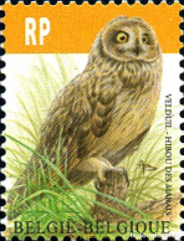 Sellos: 277765 MNH BELGICA 2012 - Foto 1