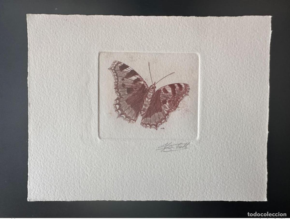 Sellos: B&eacute;lgica 1993 COB 2506 Prueba art&iacute;stica FDC Papillon Butterfly Aglais urticae