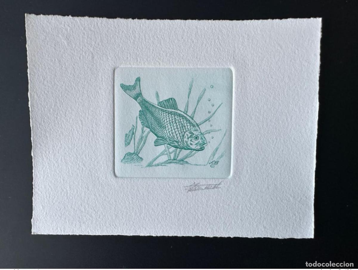 Sellos: B&eacute;lgica 1990 COB 2385 Prueba de artista FDC Poisson Fish Fisch Green Bouvi&egrave;re