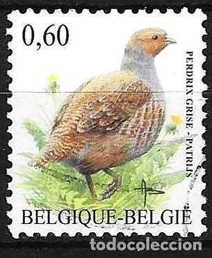 Sellos: B&eacute;lgica 2005 - Mi 3429 - YT 3365 - Ave : Perdiz