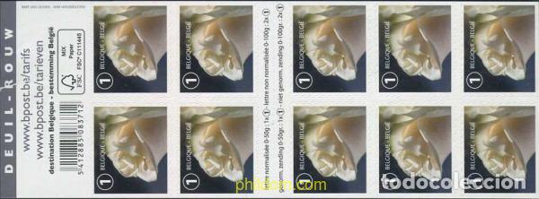 Sellos: 579847 MNH BELGICA 2017 FLORES