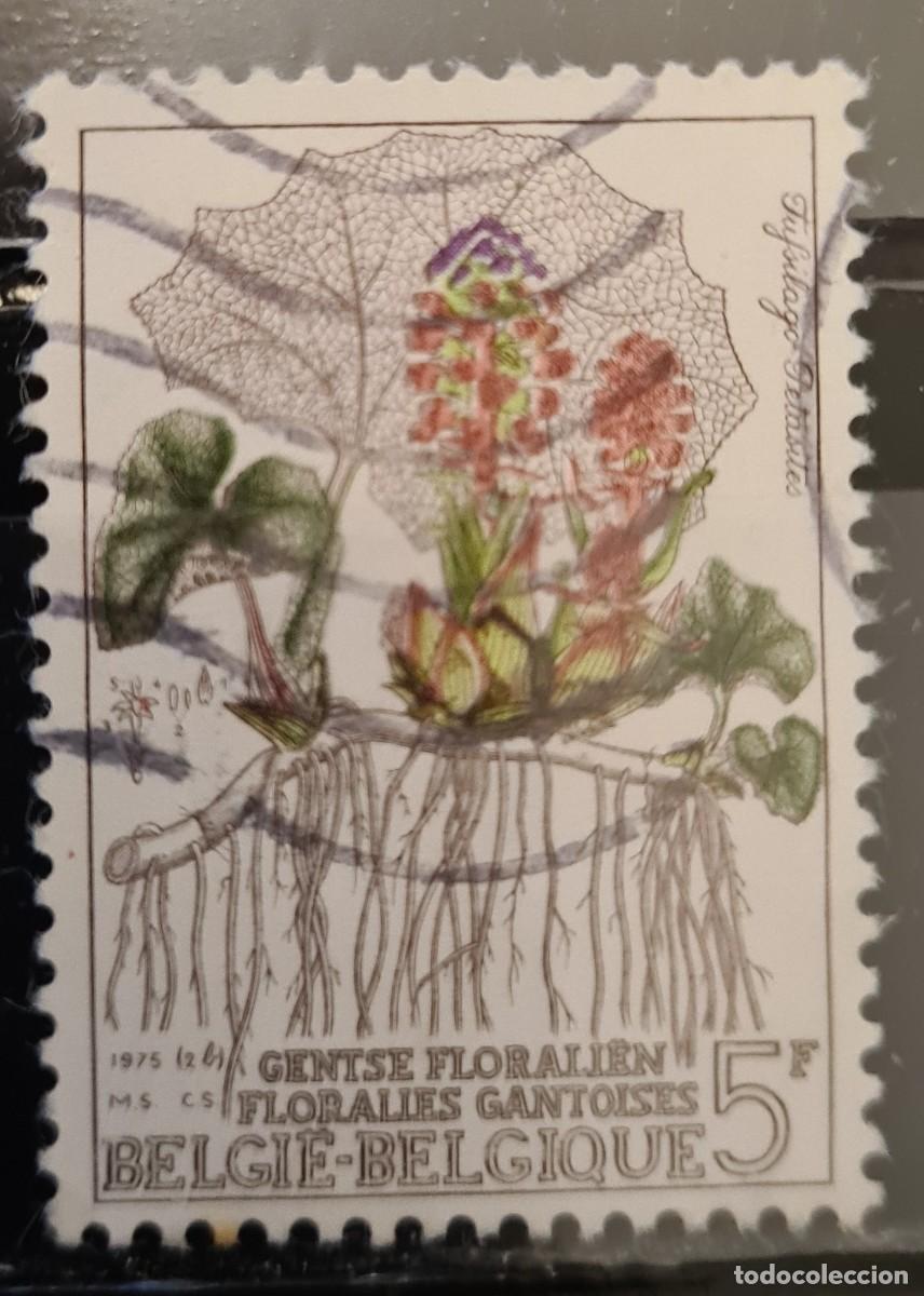 Sellos: Sello usado de B&eacute;lgica 1975. Flores de Gante: Tussilago petasites