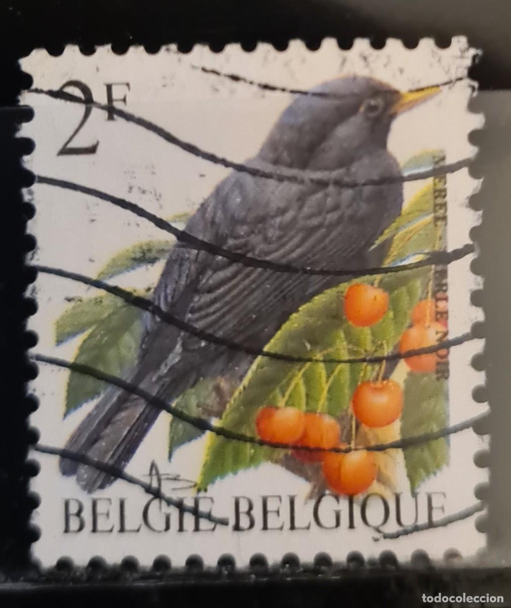 Sellos: Sello usado de B&eacute;lgica 1992. Aves: mirlo