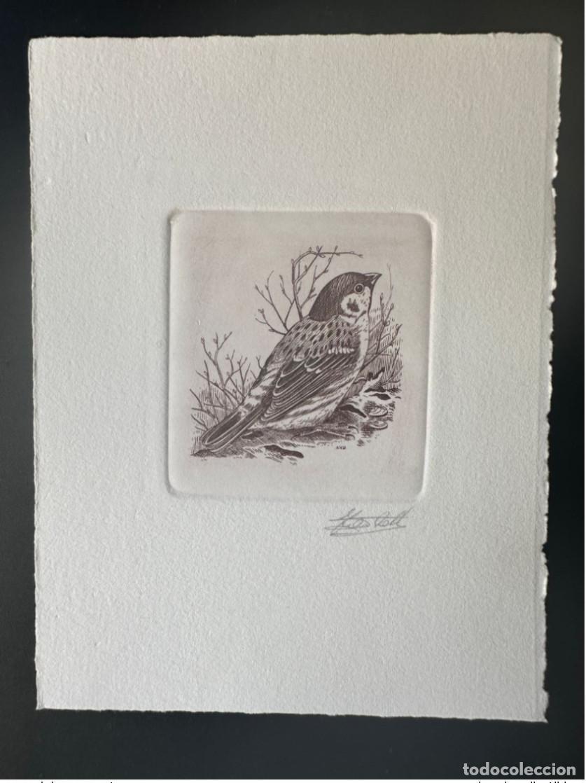 Briefmarken: B&eacute;lgica 1989 COB 2347 Prueba de artista FDC Bird Andr&eacute; Buzin Moineau Friquet