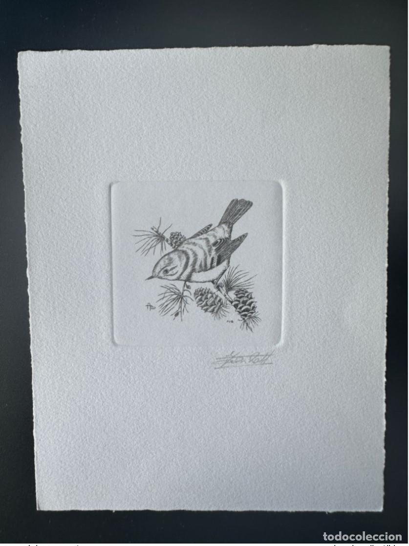 Briefmarken: B&eacute;lgica 1991 COB 2424 A prueba de artista FDC Bird Andr&eacute; Buzin Crested Roitelet