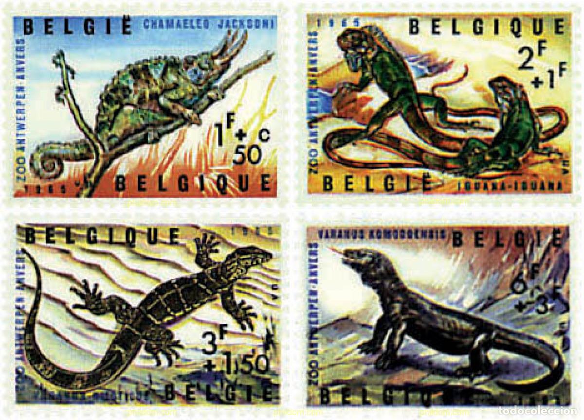 Sellos: 83979 MNH BELGICA 1965 REPTILES DEL ZOO DE AMBERES