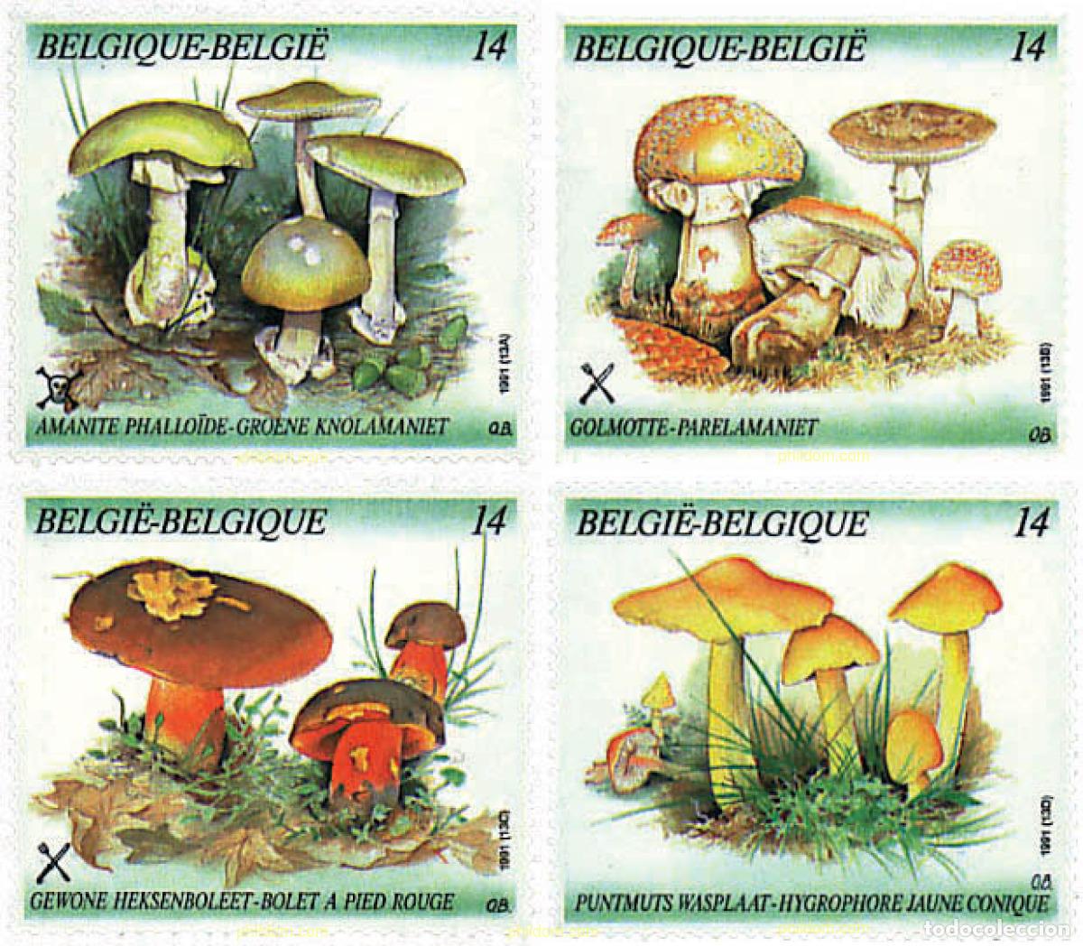 Sellos: 85213 MNH BELGICA 1991 SETAS