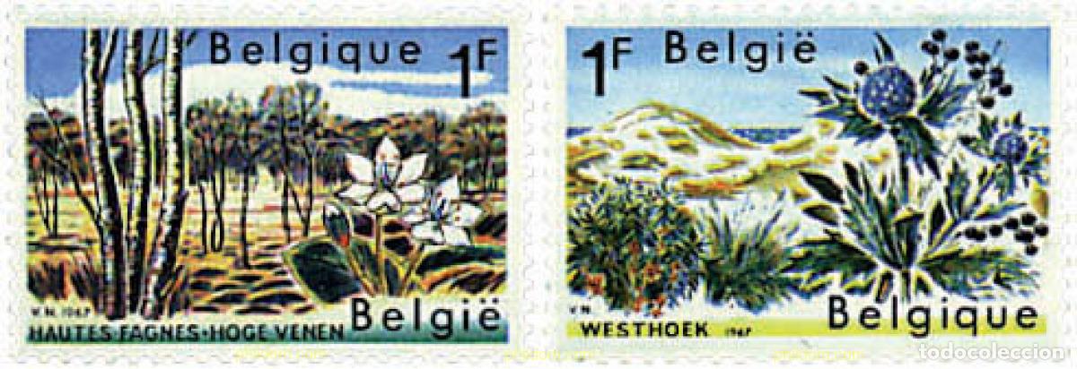 Sellos: 98176 MNH BELGICA 1967 PROTECCION DE LA NATURALEZA
