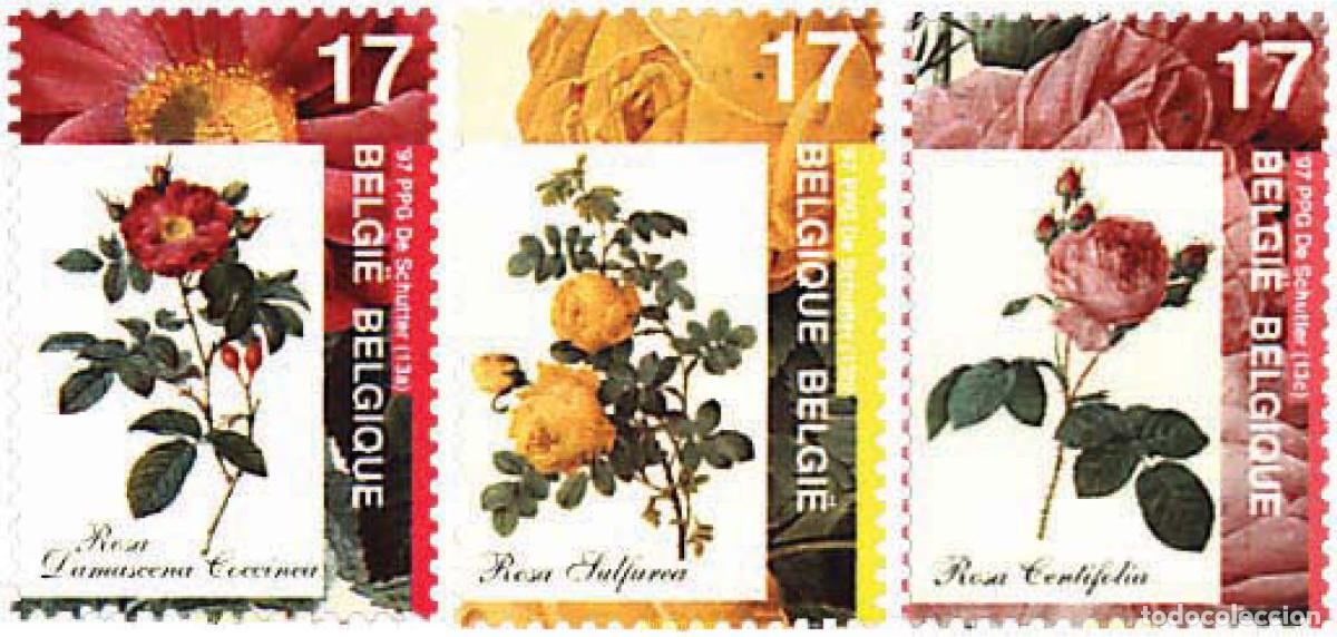 Sellos: 97136 MNH BELGICA 1997 ROSAS