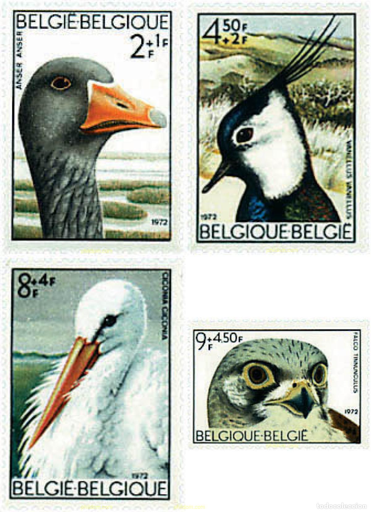 Sellos: 84710 MNH BELGICA 1972 AVES DE LA RESERVA NATURAL DE ZWIN