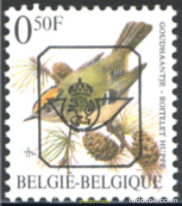 Sellos: 245231 MNH BELGICA 1991 AVES