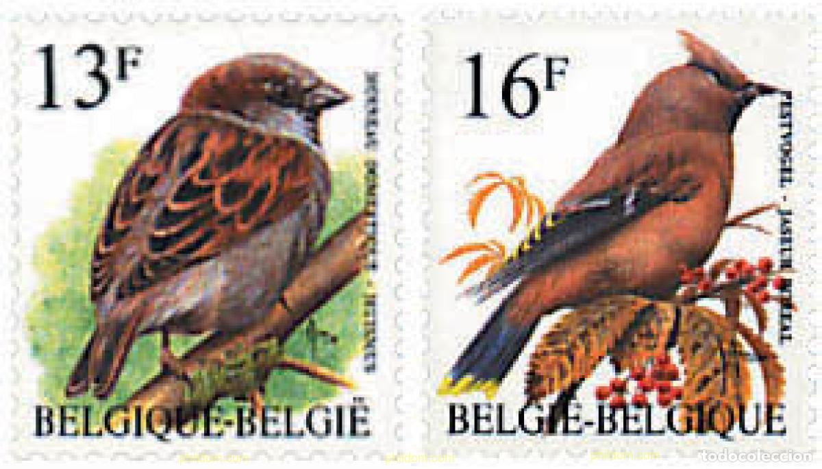 Sellos: 85254 MNH BELGICA 1994 AVES