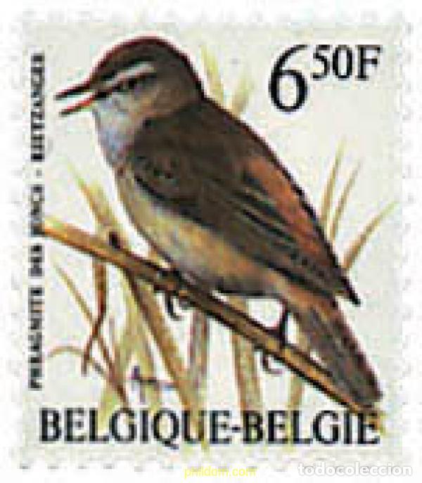 Sellos: 85267 MNH BELGICA 1994 AVES