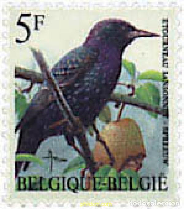 Sellos: 85294 MNH BELGICA 1996 AVES