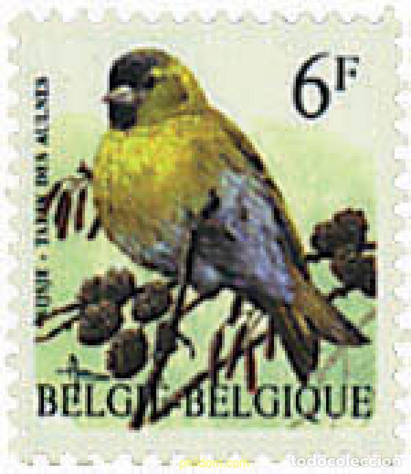 Sellos: 85305 MNH BELGICA 1996 AVES