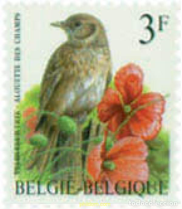 Sellos: 85328 MNH BELGICA 1997 AVES