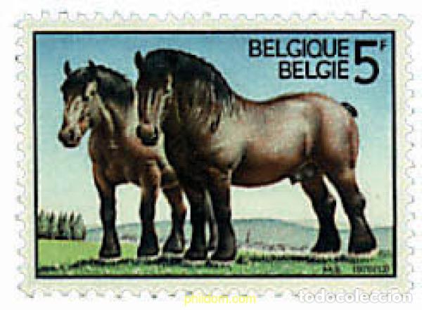 Sellos: 84906 MNH BELGICA 1976 50 ANIVERSARIO DE LA CREACION DE LA SOCIEDAD REAL DEL CABALLO DE TIRO DE LAS