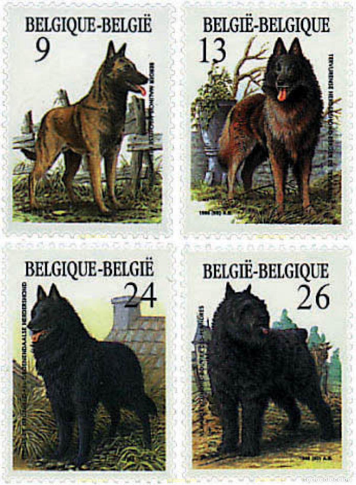 Sellos: 85623 MNH BELGICA 1986 PERROS DE RAZAS BELGAS