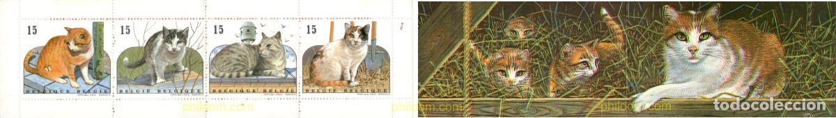 Sellos: 20994 MNH BELGICA 1993 GATOS EUROPEOS