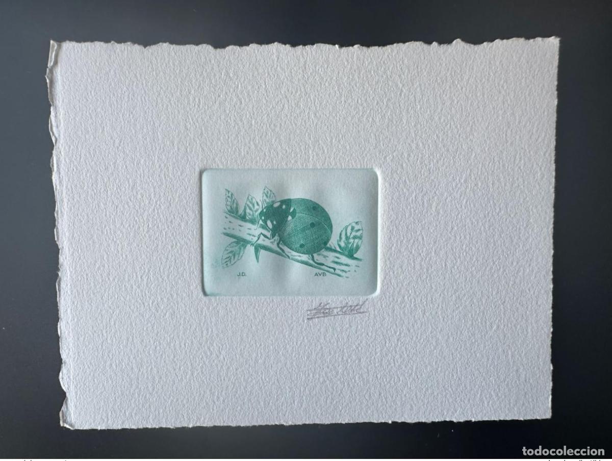 Sellos: B&eacute;lgica 1996 COB 2632 FDC insecto mariquita y escarabajo a prueba de artistas
