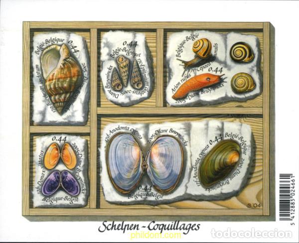 Sellos: 251396 MNH BELGICA 2005 CONCHAS