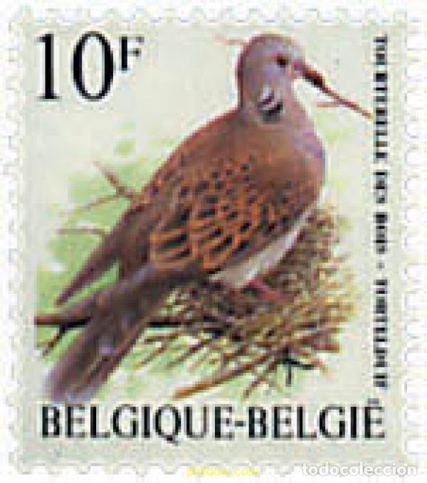 Sellos: 87923 MNH BELGICA 1998 AVES