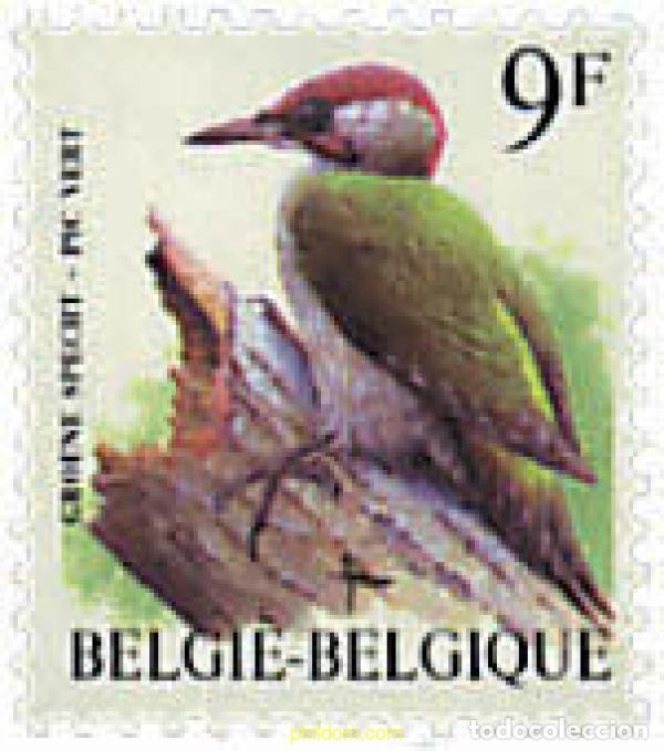 Sellos: 87920 MNH BELGICA 1998 AVES