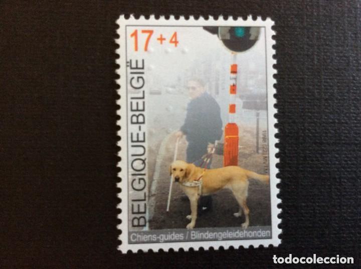 Sellos: Belgica 1998 Ivert 2789 *** Solidaridad - Los Perros Gu&iacute;a