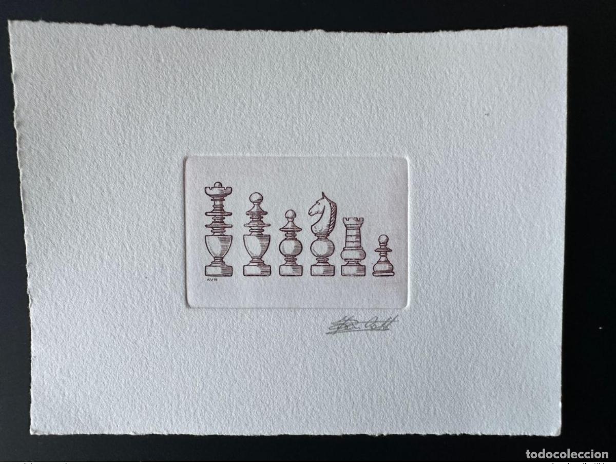 Sellos: B&eacute;lgica 1995 COB 2593 Marcos rojos FDC Chess Schach a prueba de artistas