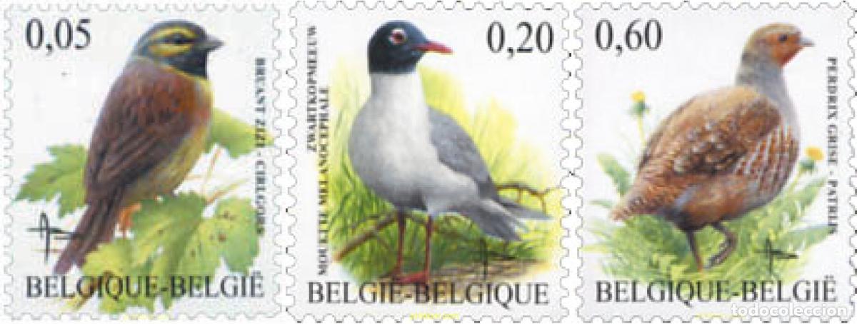 Sellos: 159155 MNH BELGICA 2005 AVES
