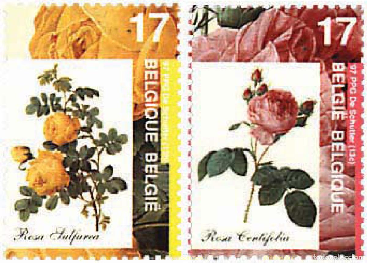 Sellos: 335808 MNH BELGICA 1997 ROSAS