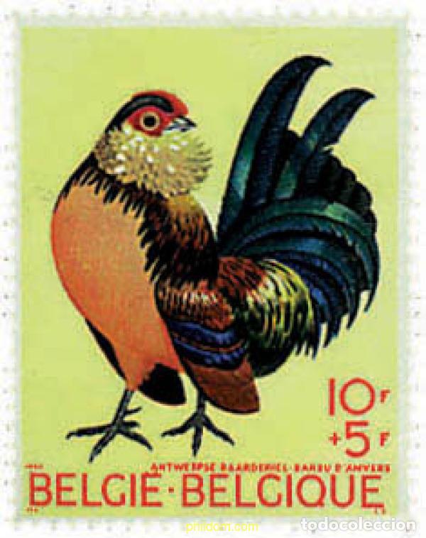 Sellos: 84347 MNH BELGICA 1969 AVES DE CORRAL