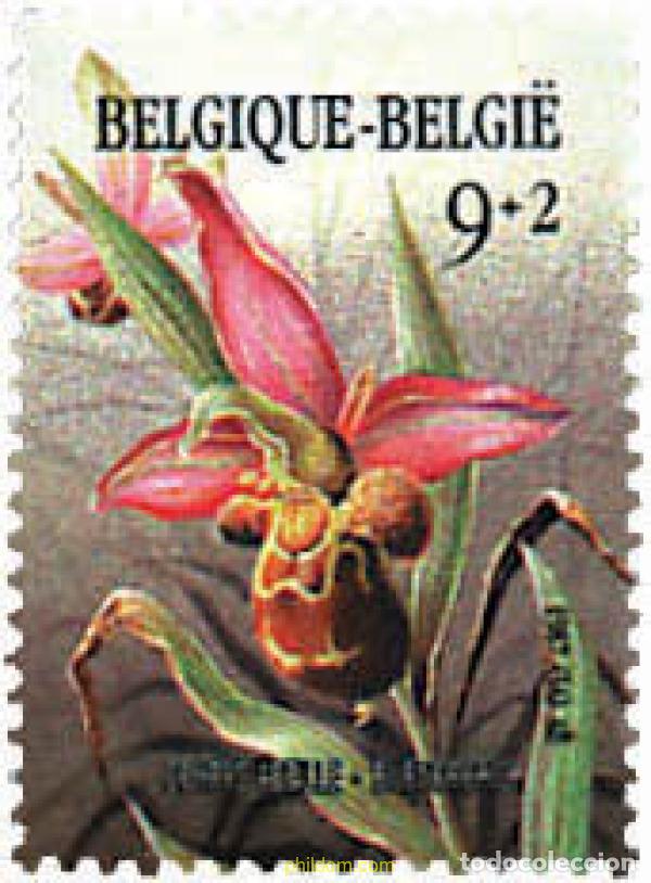 Stamps: 292200 MNH BELGICA 1987 A&Ntilde;O EUROPEO DEL MEDIO AMBIENTE