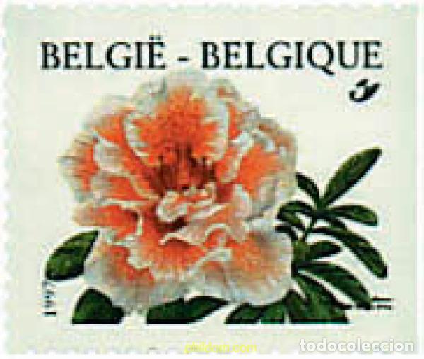 Sellos: 97137 MNH BELGICA 1997 FLOR