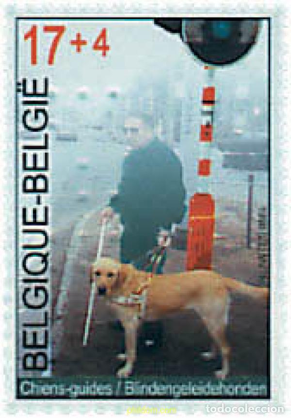 Sellos: 87932 MNH BELGICA 1998 PRO SOLIDARIDAD
