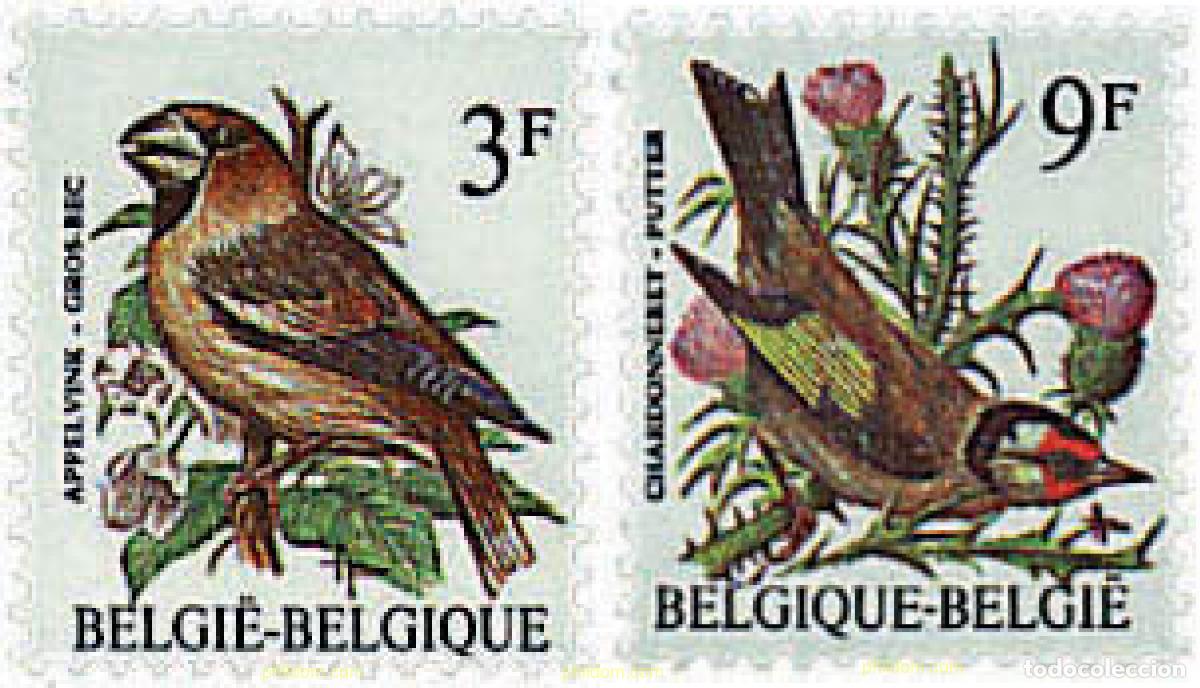 Sellos: 84788 MNH BELGICA 1985 AVES