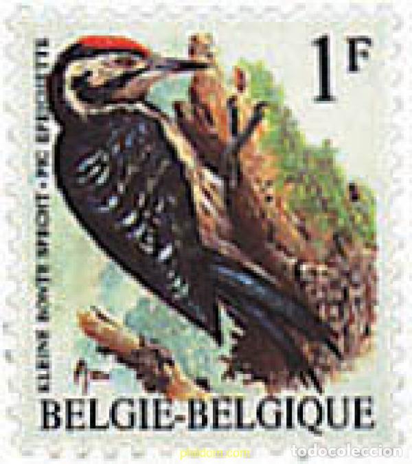 Sellos: 85622 MNH BELGICA 1990 AVES