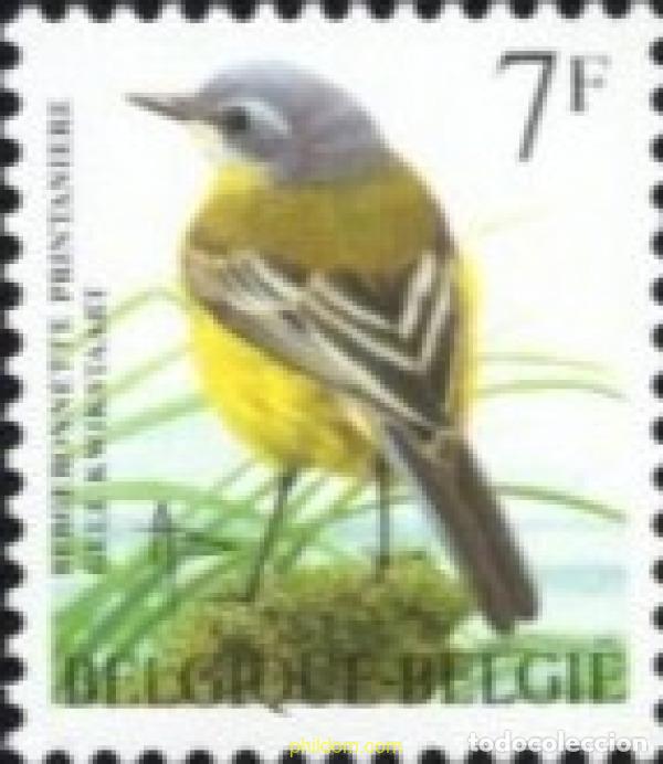 Sellos: 85334 MNH BELGICA 1997 AVES