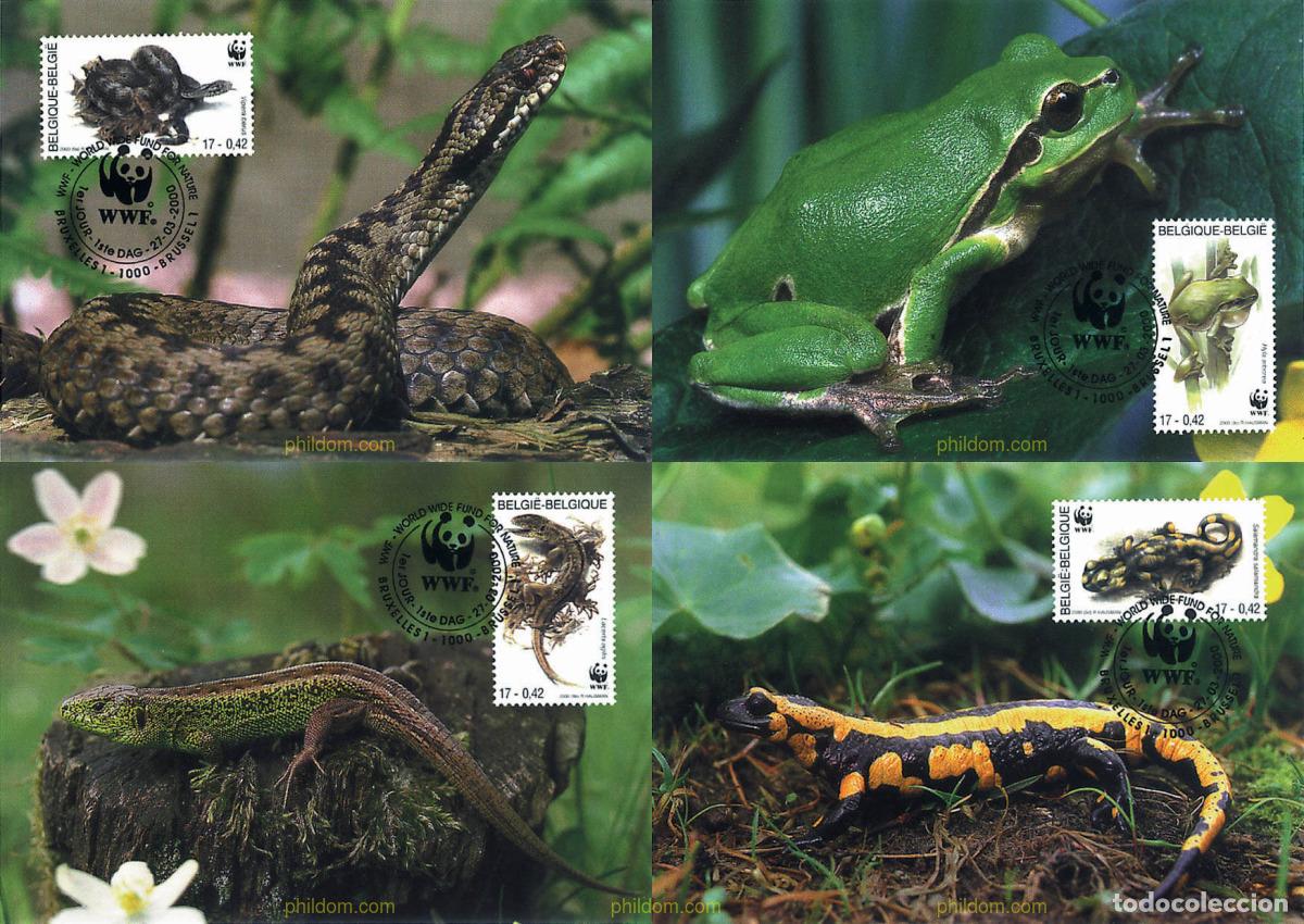 Sellos: 7527 MNH BELGICA 2000 WWF. FONDO MUNDIAL PARA LA NATURALEZA