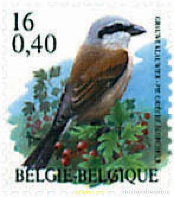 Sellos: 87347 MNH BELGICA 2000 AVES