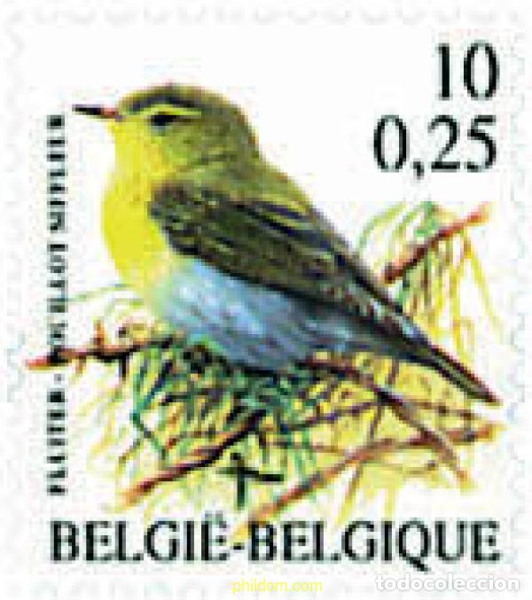 Sellos: 87381 MNH BELGICA 2000 AVES