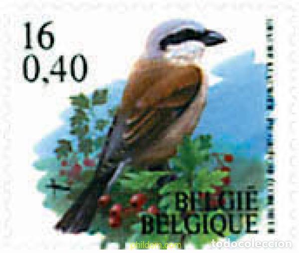Sellos: 87374 MNH BELGICA 2000 AVES