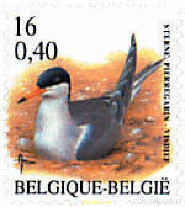 Sellos: 87399 MNH BELGICA 2001 AVES