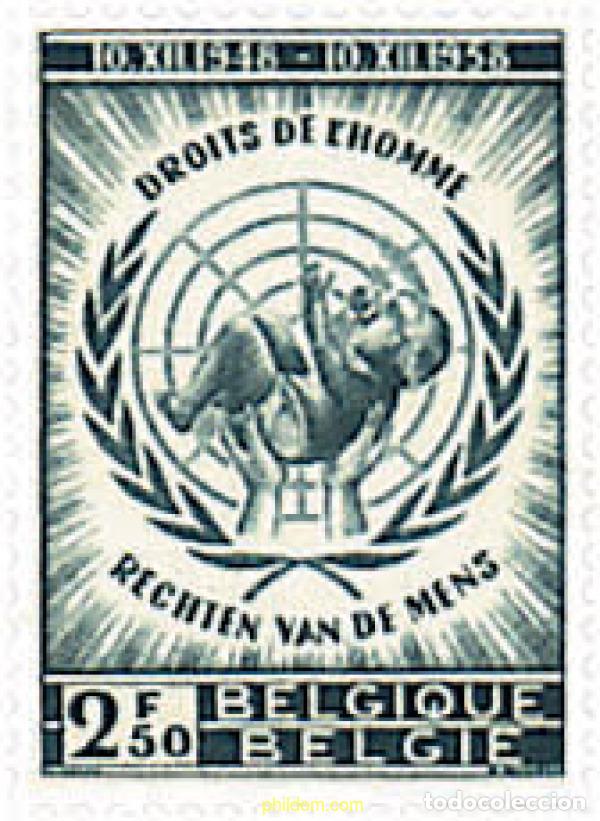 Sellos: 199846 HINGED BELGICA 1958 10 ANIVERSARIO DE LA DECLARACION UNIVERSAL DE LOS DERECHOS HUMANOS
