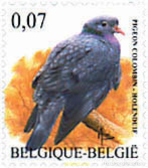 Sellos: 86989 MNH BELGICA 2002 AVE