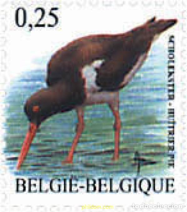 Sellos: 88006 MNH BELGICA 2002 PAJARO