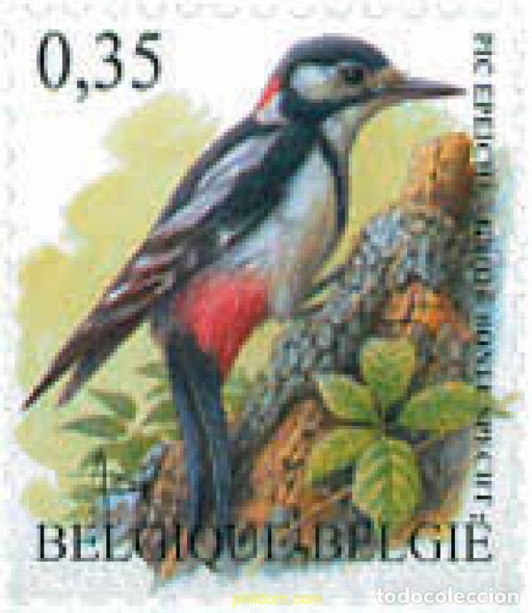 Sellos: 120439 MNH BELGICA 2003 AVES