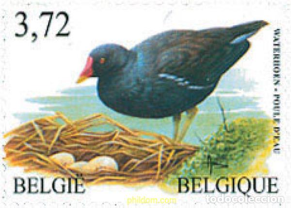 Sellos: 131469 MNH BELGICA 2003 AVES